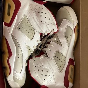 Air Jordan 6 “Alternate”